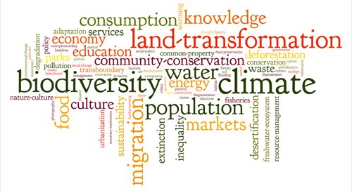 MagazineEco's profile picture. 