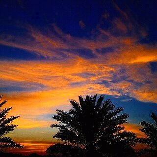 so20145's profile picture. 