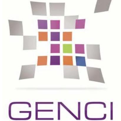 GENCI was created in 2007 by the Public authorities with the aim of placing France among the leading countries  in terms of HPC