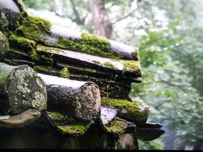동학천도인.   관심분야 :  동양학. 동의학. 주역. 국제경제. 무역.