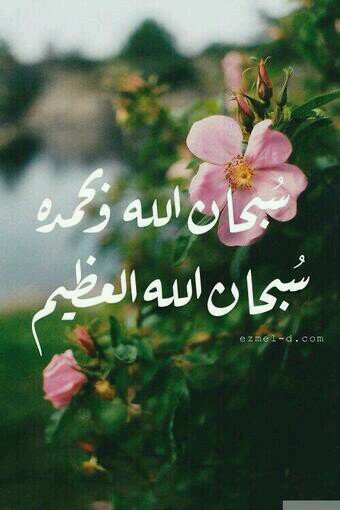 هذا الحساب وقف للمرحوم عبدالسلام خالد العوفي الله يرحمك ياعبدالسلام ويسكنك الفردوس الاعلى ويجمعنا الله معك يوم يبعث عباده     الرجاء النشر