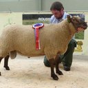 John Fleming - @Stairhaven1John - Twitter