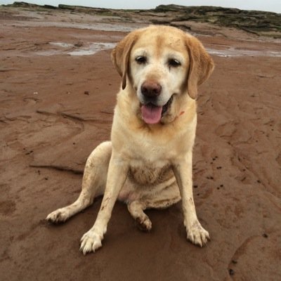 cllngrgr's profile picture. Mama, Wife, computer button pusher, foodie, lover of out of control laughter who likes her music LOUD