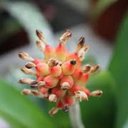 Divine Lee Eckert - @DivineLeeEckert - Twitter