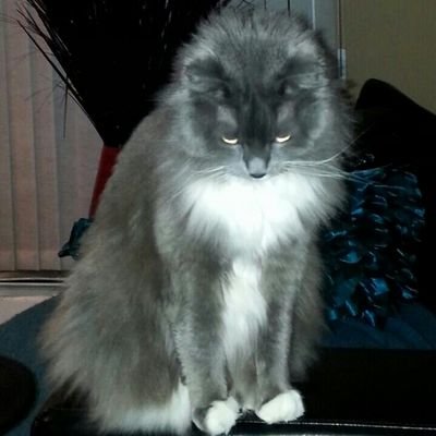 9afd664c5e6c409's profile picture. 