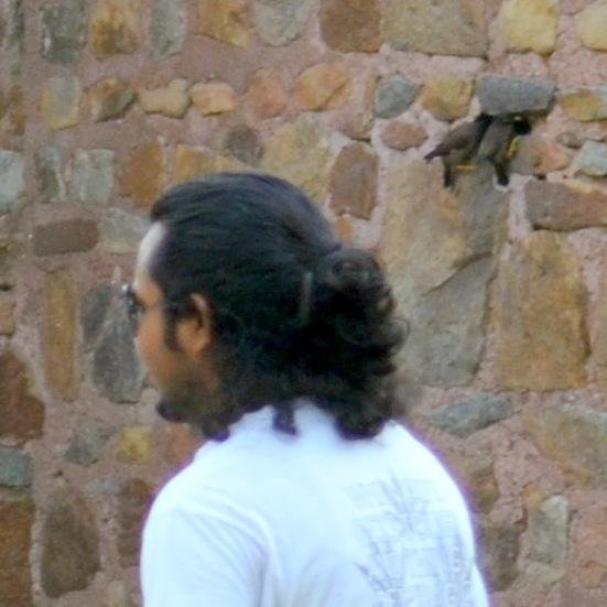 fun loving engineer. people lovers. an honest human and a patriotic indian.
