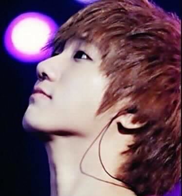 ELF _ヾ(@^▽^@)ノ⊂(・(ェ)・)⊃( ˘ ³˘)❤|THANK YOU FOR YOURE FOLLOW AND FOLLBACK (●´∀｀●)♥♥♡♡♥♥♡♡
