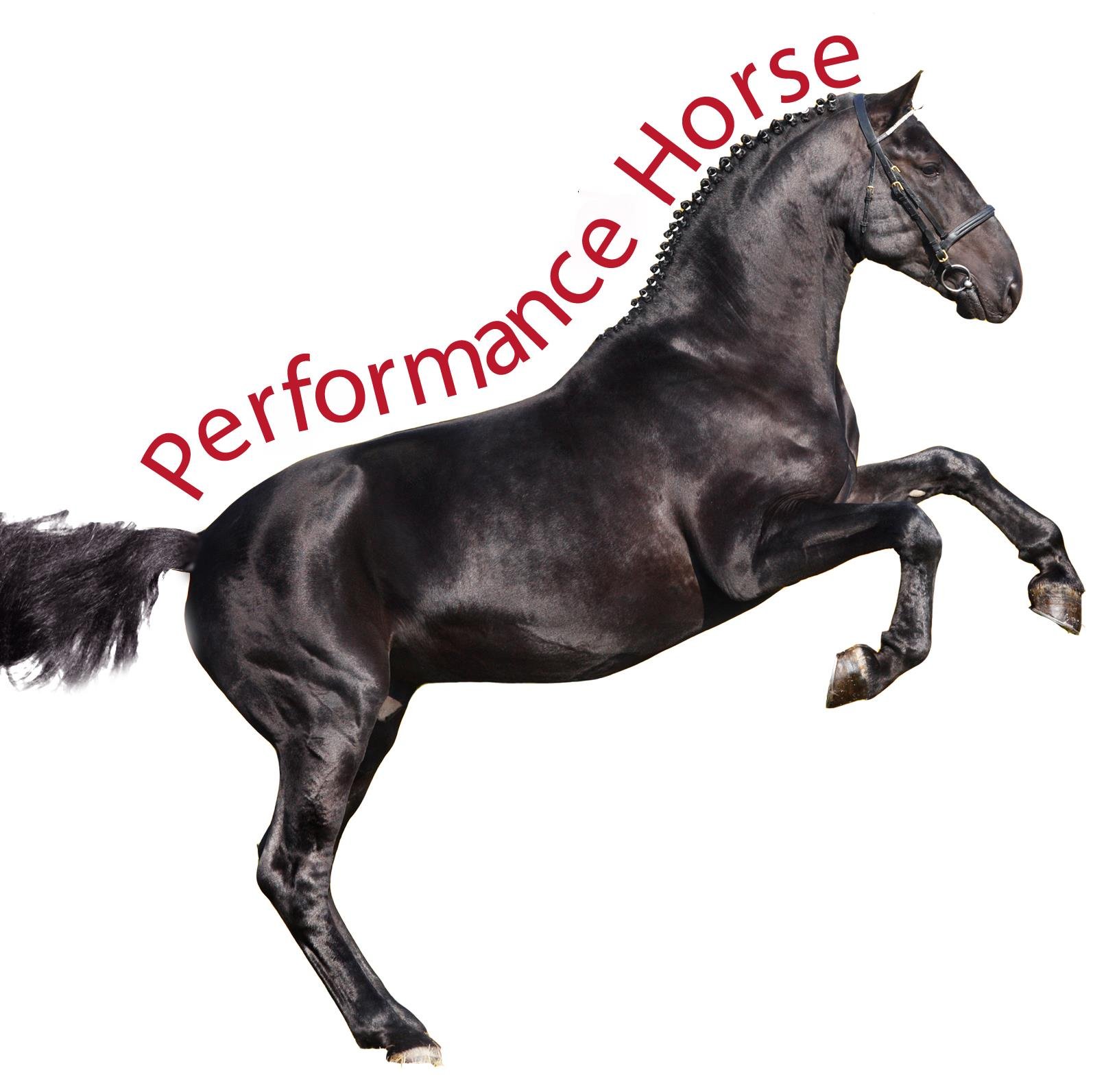 Quality Equine Supplies
