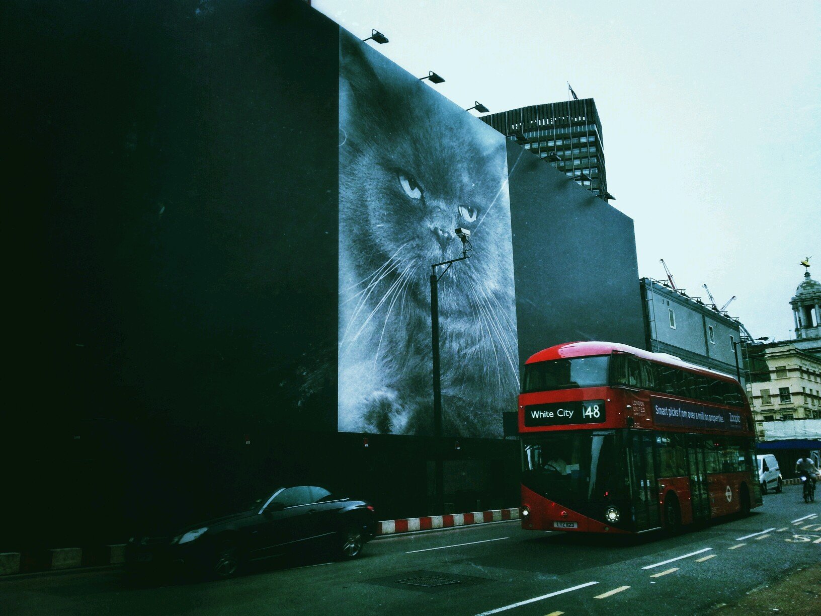 Housecatfashion's profile picture. Housecat fashion. 
Fashion with a touch of miaow