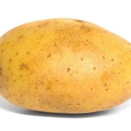 Professional potato