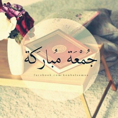 @SFashionxx