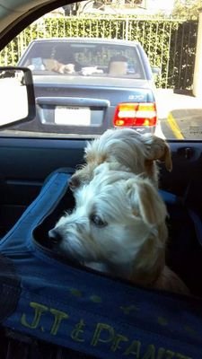 jjandpeanut's profile picture. 