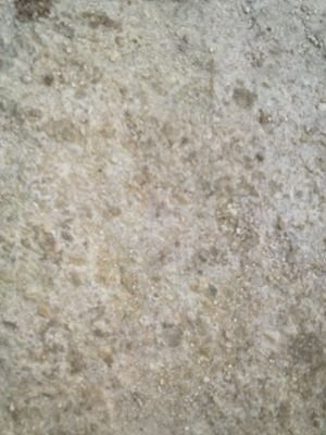 mrblack123456's profile picture. football