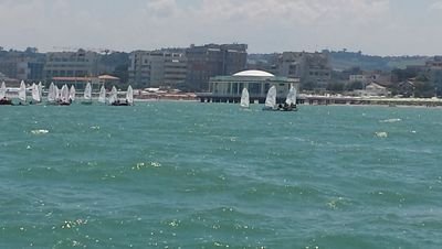 NevioArcangeli's profile picture. 