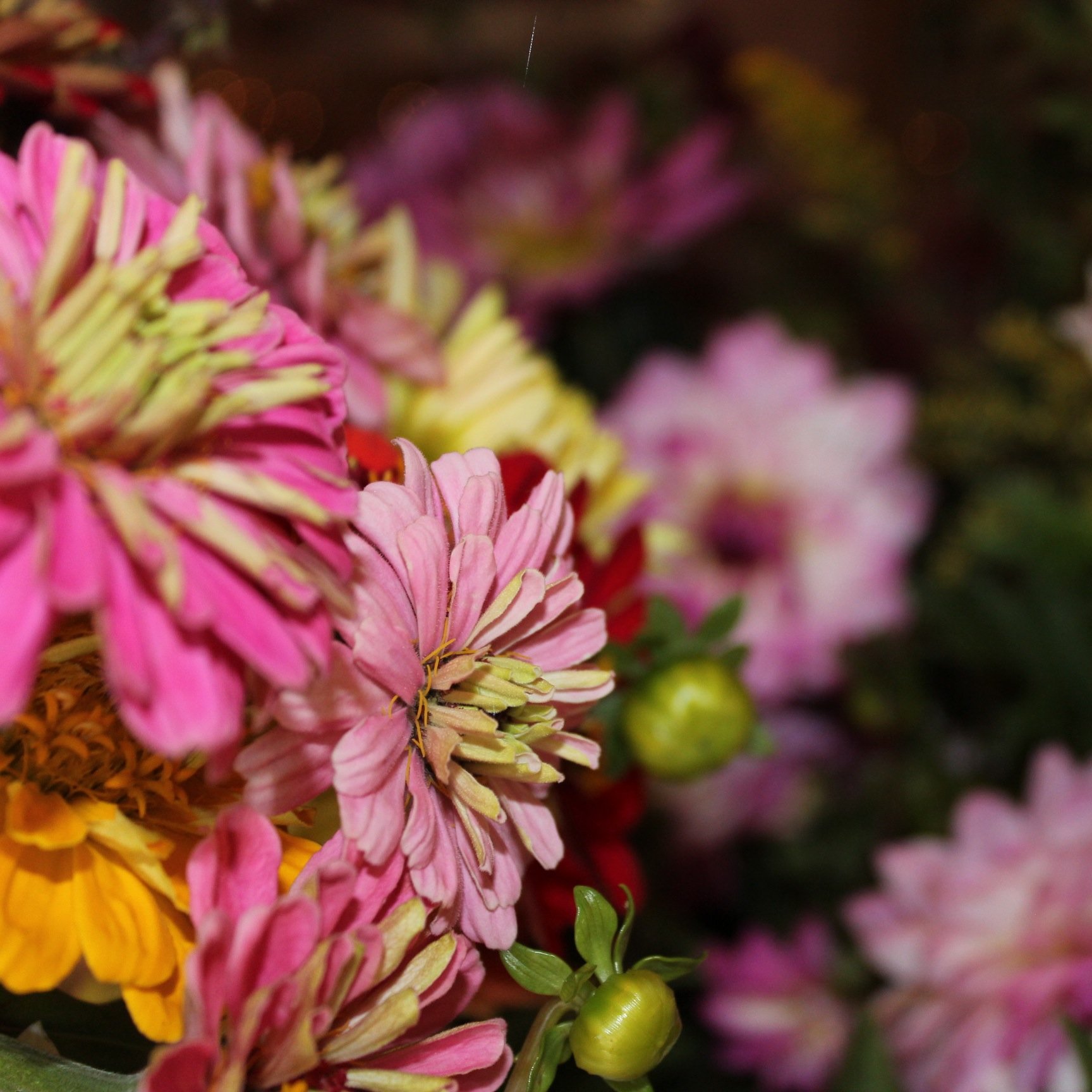 kaed58's profile picture. 