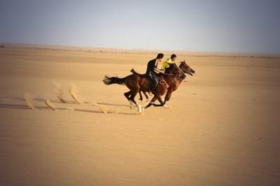 ‏يقولون راع الشااص وش حببه فالشاص
واناأقول غيرالشاااص والله ماليبه 
خوي الخوي لامن نوا البر والمقناااص
ومنوة غريبن مبطين عن معازيبهہ