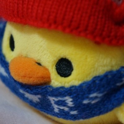 Kalafinaなどの趣味垢です。豚骨ふぉーえばー(*´∇｀*)
