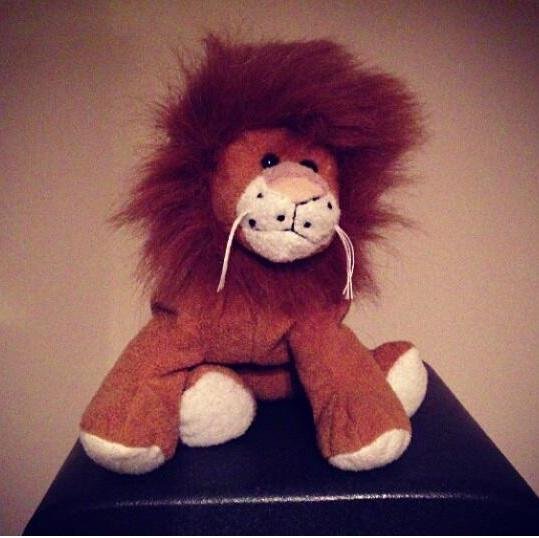 3 x Album + 4 x EP - https://t.co/J0a8bXvTXz #PRLion #ifightlions @ifightlions
