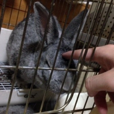 MSとUCの難病２つですが仲良くしてください。弱音や、愚痴吐きます。ご了承ください。無言フォローすみません。多発性硬化症 潰瘍性大腸炎 アボネックスからのコパキソンからのテクフィデラからのタイサブリからのケシンプタ