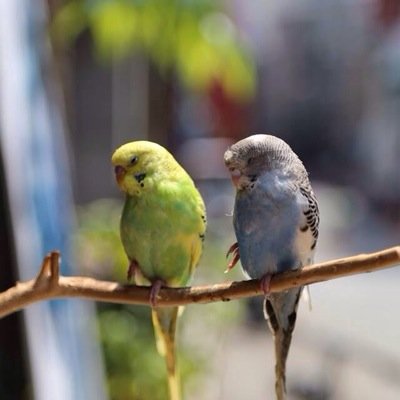 maxwell286's profile picture. 