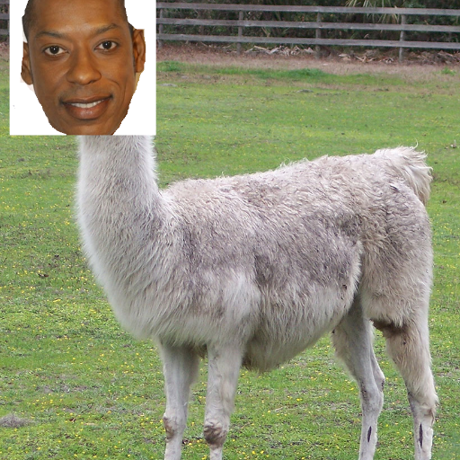 orlandontj0nes's profile picture. Sleepy Hollow actor, #GISHWHES2014 victim. We're all Orlando, sort of.