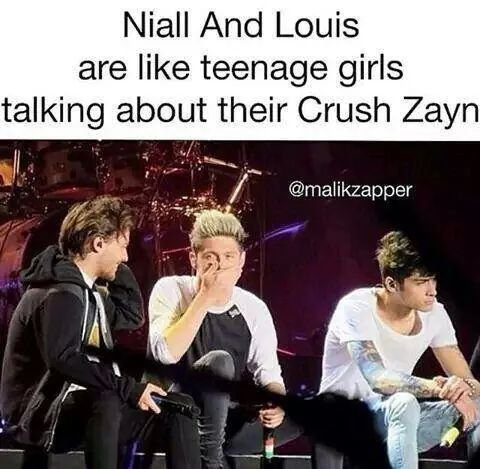 harry_charlyn's profile picture. harry styles and luke hemmings girl :)