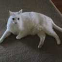 Kayla Russo - @KaylaRusso1 - Twitter