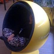 ejkdc's profile picture. EJKdc. https://t.co/Q2Yt8zmsTg