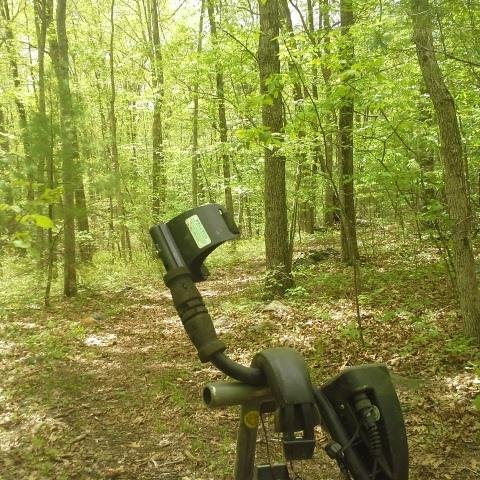 LetsMetalDetect's profile picture. 