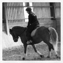 Sandy Bianchi - @sandy_kni - Twitter