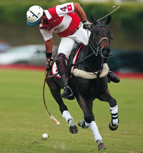 sebaspolo20's profile picture. 