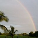 Heidi Hardin - @hardin_heidi - Twitter