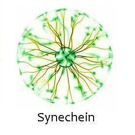 synechein's profile picture. Creativity is your contribution, ours is to help you get it