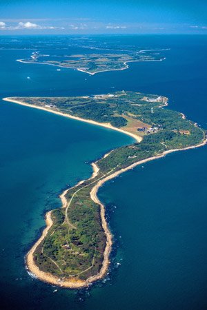 SavePlumIsland's profile picture. The Preserve Plum Island Coalition is fighting to preserve 840 acres of wildlife habitat in NY from development. https://t.co/B0XS1QpxpU