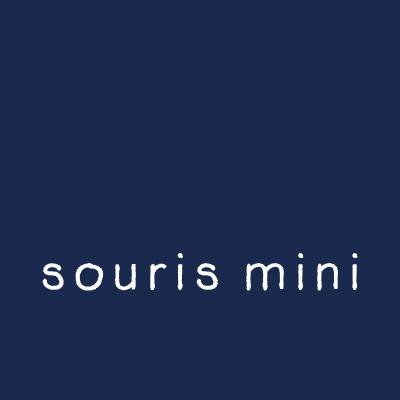 Souris Mini Profile