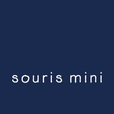 Souris Mini Profile