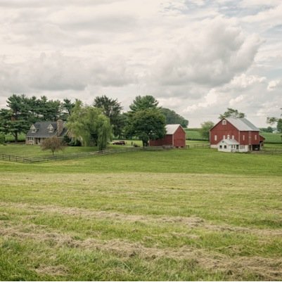 stringquartet10's profile picture. 