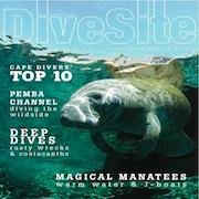 @thedivesite