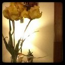 Vilma Greco - @e18be97ff8914b6 - Twitter