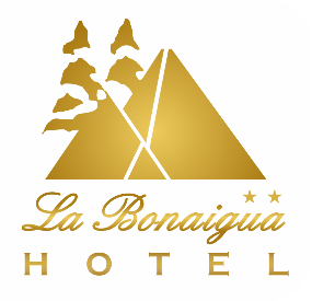 Hotel familiar de 2 estrellas,  situado en la capital del Valle de Arán, Vielha.