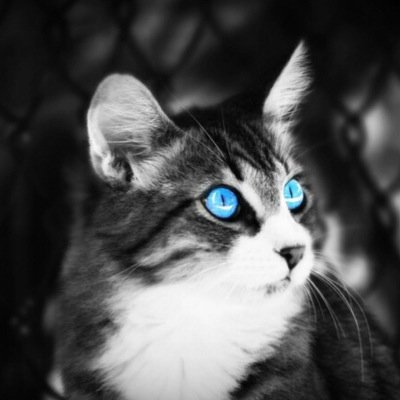 Echo,Powerful/Immortal.CrueI and Demon| Mercy is weakness, ambition is Power|the scariest things you face,is yourself|She|Shapeshifter| #single |#Online