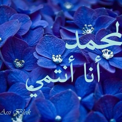 لا تنظر الى الماضي فتحزن ولا تخاف من المستقبل فتفشل