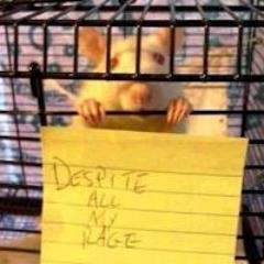 BobbittJason's profile picture. 