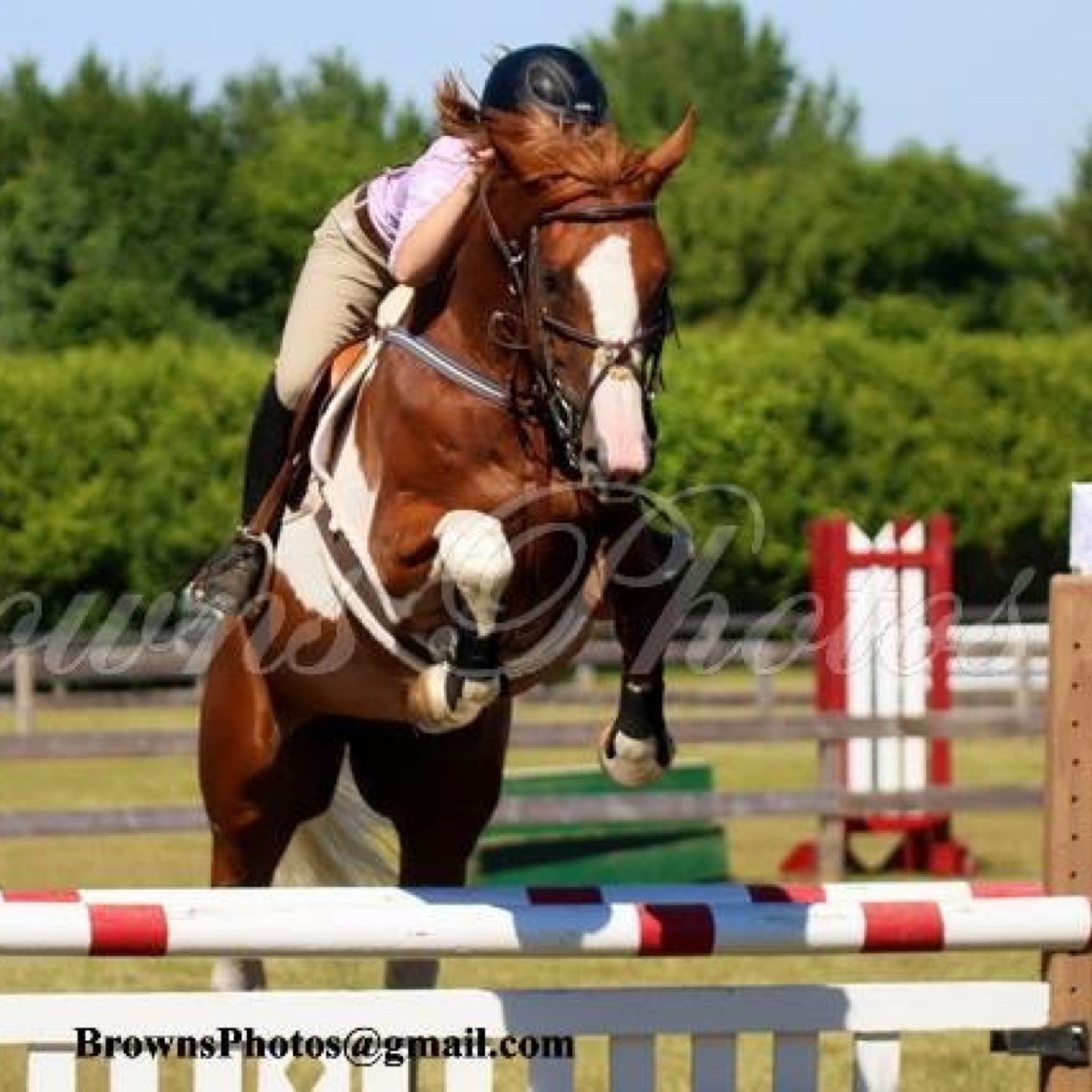 hunter&jumper rider! 16yearsold. @Emoequestrian is the bae❤️