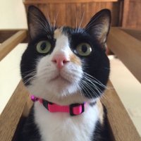 Cristina Vasquez (@cristivasquez01) 's Twitter Profile Photo Cristina Vasquez (@cristivasquez01) 's Twitter Profile Photo