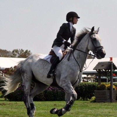 I love ponies and jumpers!