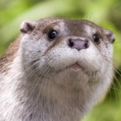 黒麦は垢移動