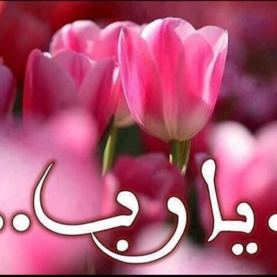 سَيكونْ كل شيء جَميلْ رُبما لَيس اليوم ولكنْ بالتأكِيد يوماً مَآ
