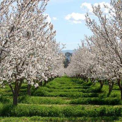 EcoKingsNS's profile picture. An environmental and sustainability group working for positive changes in Kings County, NS