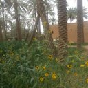 محمد عبدالله الأحمد (@1389mm1) Twitter